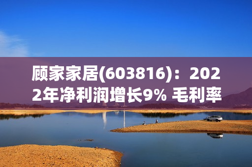 顾家家居(603816)：2022年净利润增长9% 毛利率持续提升