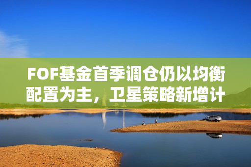 FOF基金首季调仓仍以均衡配置为主，卫星策略新增计算机和医药