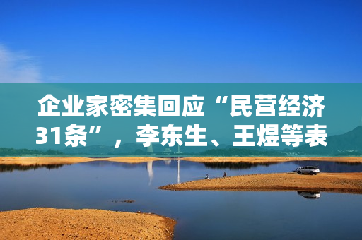 企业家密集回应“民营经济31条”，李东生、王煜等表态