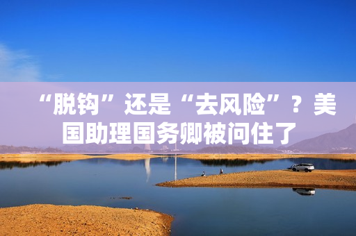 “脱钩”还是“去风险”？美国助理国务卿被问住了 第1张