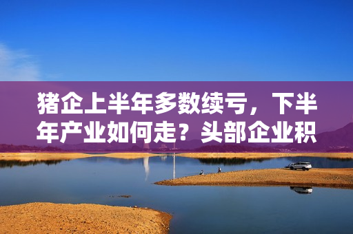 猪企上半年多数续亏，下半年产业如何走？头部企业积极降本，板块估值处于低位
