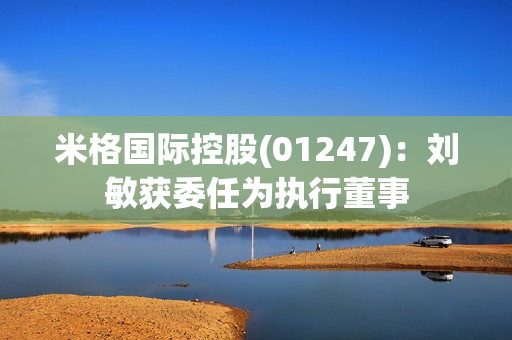 米格国际控股(01247)：刘敏获委任为执行董事