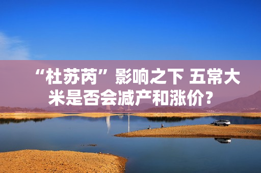 “杜苏芮”影响之下 五常大米是否会减产和涨价？