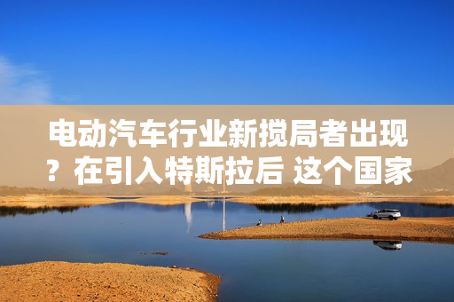 电动汽车行业新搅局者出现？在引入特斯拉后 这个国家欲“栽桐引凤”