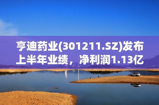 亨迪药业(301211.SZ)发布上半年业绩，净利润1.13亿元，增长107.80%