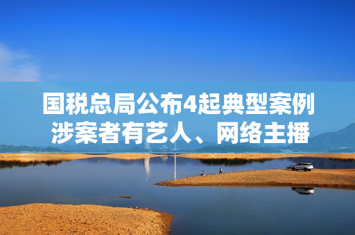 国税总局公布4起典型案例 涉案者有艺人、网络主播等