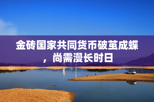 金砖国家共同货币破茧成蝶，尚需漫长时日