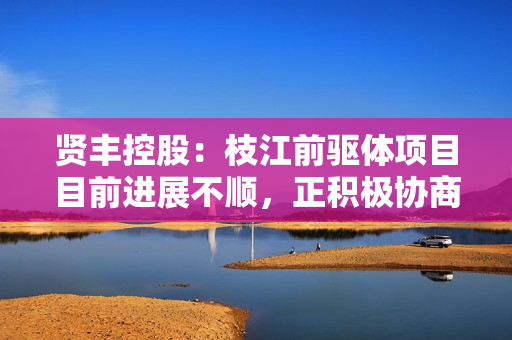 贤丰控股：枝江前驱体项目目前进展不顺，正积极协商相关推进方案