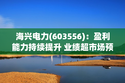 海兴电力(603556)：盈利能力持续提升 业绩超市场预期