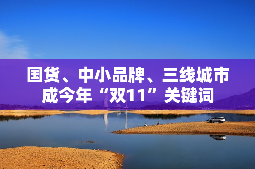 国货、中小品牌、三线城市成今年“双11”关键词