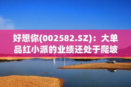 好想你(002582.SZ)：大单品红小派的业绩还处于爬坡阶段