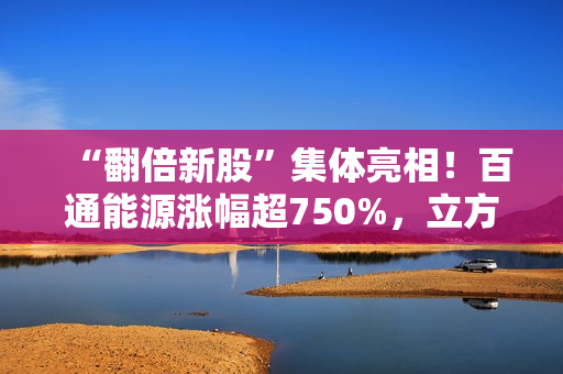 “翻倍新股”集体亮相！百通能源涨幅超750%，立方控股、上海汽配、惠柏新材、德冠新材接近翻倍！港股新股计划公布，投资者需谨慎分析！