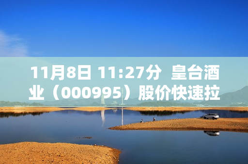 11月8日 11:27分  皇台酒业（000995）股价快速拉升