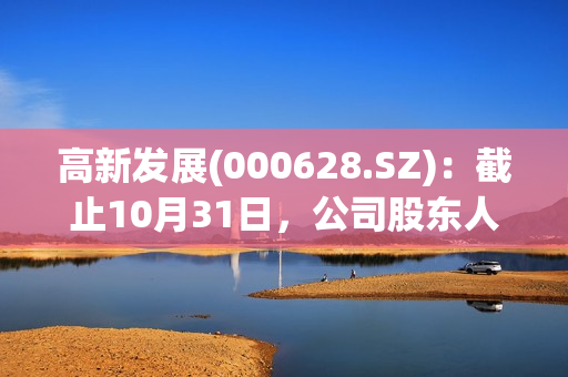 高新发展(000628.SZ)：截止10月31日，公司股东人数为17024