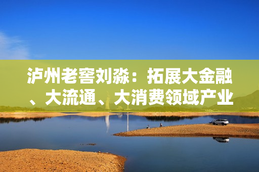 泸州老窖刘淼：拓展大金融、大流通、大消费领域产业赛道