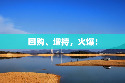 回购、增持，火爆！
