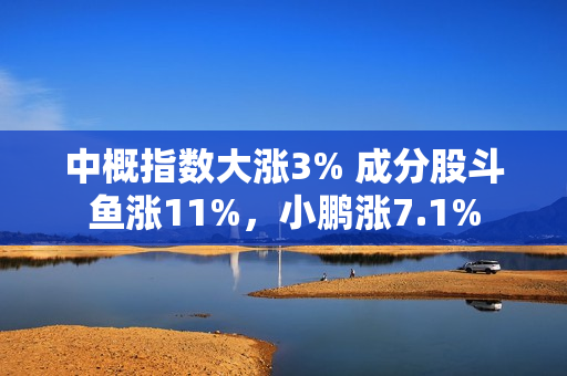 中概指数大涨3% 成分股斗鱼涨11%，小鹏涨7.1%