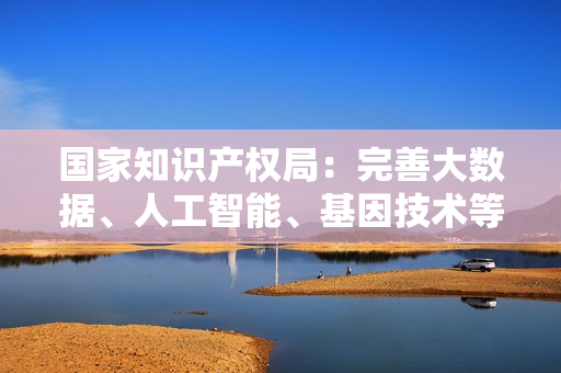 国家知识产权局：完善大数据、人工智能、基因技术等新领域新业态专利审查标准