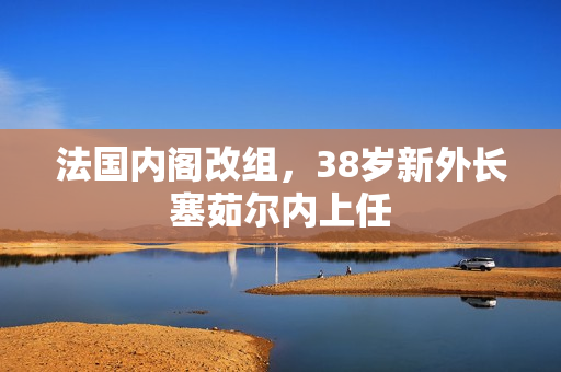 法国内阁改组，38岁新外长塞茹尔内上任
