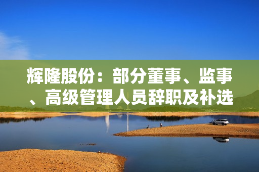 辉隆股份：部分董事、监事、高级管理人员辞职及补选、聘任相关人员
