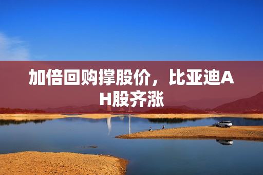 加倍回购撑股价，比亚迪AH股齐涨