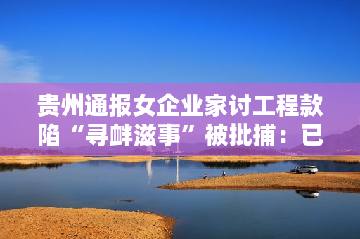贵州通报女企业家讨工程款陷“寻衅滋事”被批捕：已成立调查组 对该案进行全面审查