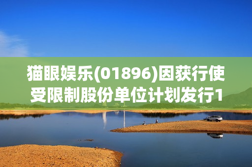 猫眼娱乐(01896)因获行使受限制股份单位计划发行132.13万股