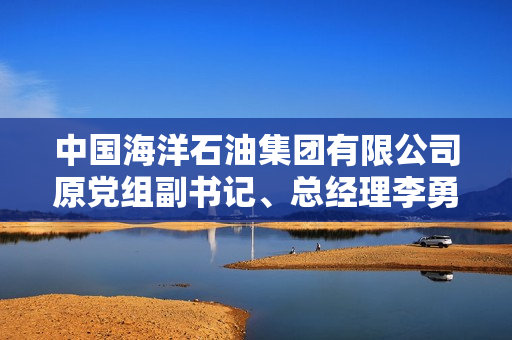 中国海洋石油集团有限公司原党组副书记、总经理李勇接受审查调查
