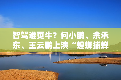 智驾谁更牛？何小鹏、余承东、王云鹏上演“螳螂捕蝉、黄雀在后”