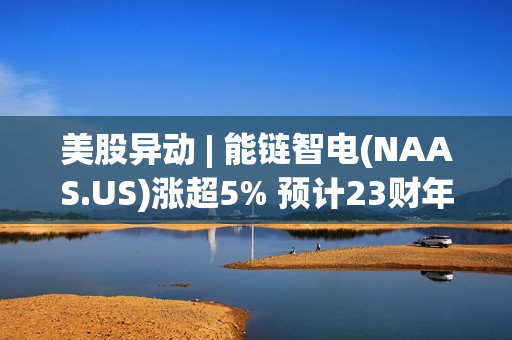 美股异动 | 能链智电(NAAS.US)涨超5% 预计23财年净收入将在5-6亿元人民币之间 第1张