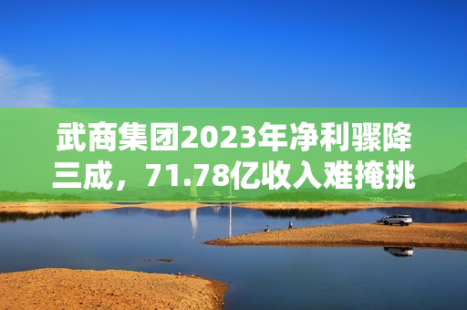 武商集团2023年净利骤降三成，71.78亿收入难掩挑战，派现计划亮相