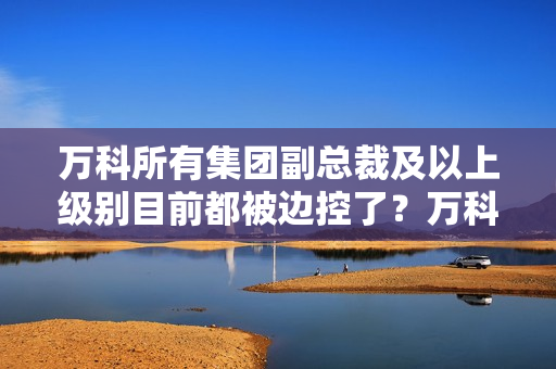 万科所有集团副总裁及以上级别目前都被边控了？万科回应 第1张
