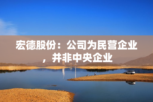 宏德股份：公司为民营企业，并非中央企业 第1张