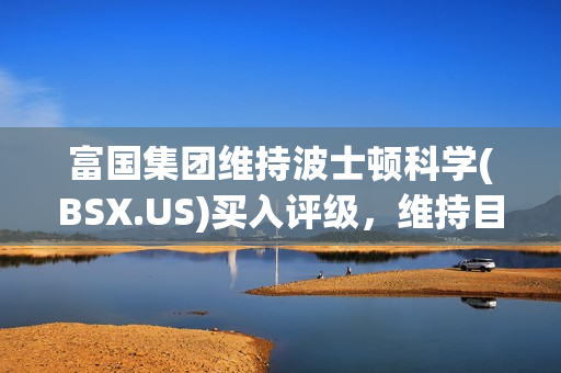 富国集团维持波士顿科学(BSX.US)买入评级，维持目标价82美元 第1张