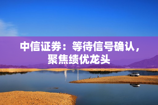中信证券：等待信号确认，聚焦绩优龙头 第1张