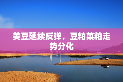 美豆延续反弹，豆粕菜粕走势分化 第1张