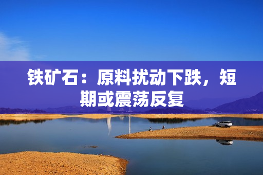 铁矿石：原料扰动下跌，短期或震荡反复 第1张