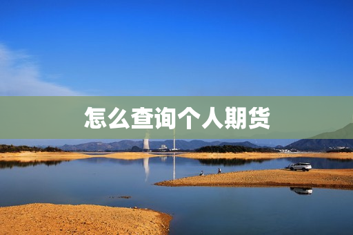 怎么查询个人期货 第1张