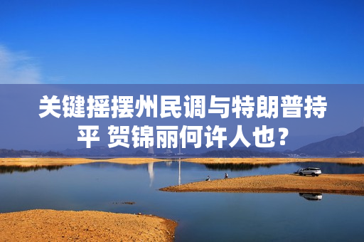 关键摇摆州民调与特朗普持平 贺锦丽何许人也？ 第1张