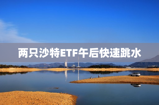 两只沙特ETF午后快速跳水 第1张
