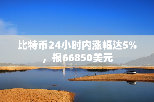 比特币24小时内涨幅达5%，报66850美元 第1张