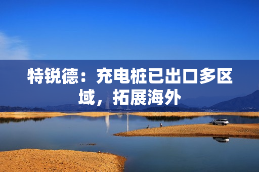 特锐德：充电桩已出口多区域，拓展海外 第1张