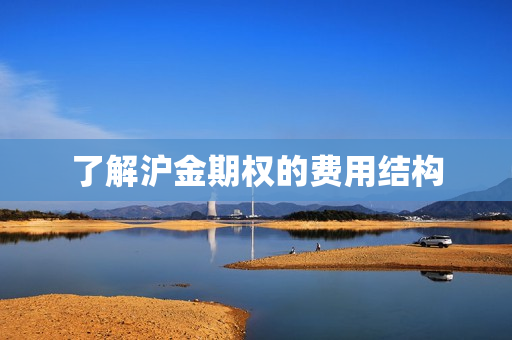 了解沪金期权的费用结构 第1张