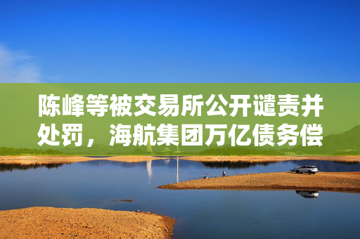 陈峰等被交易所公开谴责并处罚，海航集团万亿债务偿还进展如何 第1张