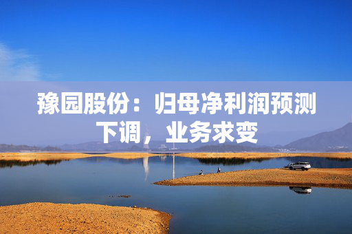 豫园股份：归母净利润预测下调，业务求变 第1张