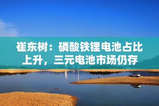 崔东树：磷酸铁锂电池占比上升，三元电池市场仍存 第1张