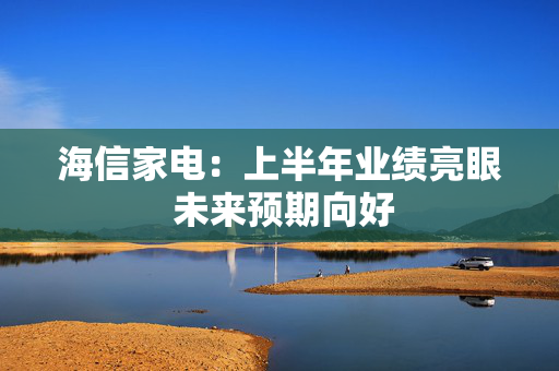 海信家电：上半年业绩亮眼 未来预期向好 第1张
