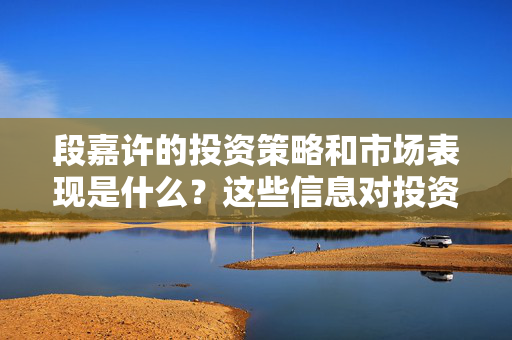 段嘉许的投资策略和市场表现是什么？这些信息对投资者有何帮助？ 第1张