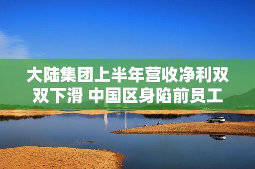 大陆集团上半年营收净利双双下滑 中国区身陷前员工诉讼旋涡 第1张