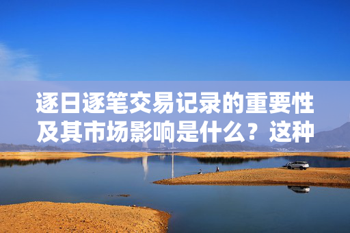 逐日逐笔交易记录的重要性及其市场影响是什么？这种记录方式如何提高透明度？ 第1张